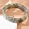 Natural Labradorite Faceted Beaded Stretch Bracelets for Women BJEW-K251-08A-3