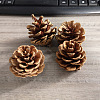 Wood Artificial Pine Cone Decorations Ornaments HULI-PW0002-033F-1