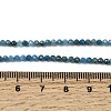 Natural Apatite Beads Strands G-K366-C07-2mm-5