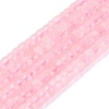 Natural Rose Quartz Beads Strands G-Q606-46A-17-2