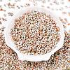 Baking Paint Glass Seed Beads SEED-C003-01Q-4