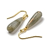 Ion Plating(IP) Natural Labradorite Dangle Earring EJEW-C084-01G-04-2