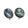 304 Stainless Steel Pave Natural Paua Shell Stud Earring Findings STAS-Z125-09G-2