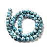 Natural Apatite Beads Strands G-G858-01B-3