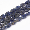 Natural Sodalite Beads Strands X-G-T098-08A-1