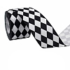 Polyester Ribbon OCOR-WH0120-04C-1