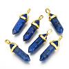 Natural Mixed Stone Double Terminated Pointed Pendants G-G902-B-2