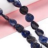 Natural Sodalite Beads Strands G-O120-14-2