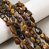 Natural Pietersite Beads Strands G-A286-A01-02-1