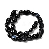 Natural Black Onyx Beads Strands G-P601-A16-02-3