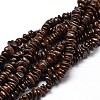 Natural Bronzite Chip Beads Strands X-G-E271-127-1