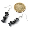 Natural Snowflake Obsidian & Obsidian & Labradorite & Smoky Quartz Chip Dangle Earrings Set for Women EJEW-JE06245-02-3