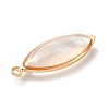 Brass Enamel Pendants KK-K252-10G-01-4
