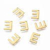 304 Stainless Steel Charms LS-X-STAS-P141-E-2