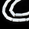 Natural Trochid Shell/Trochus Shell Beads Strands SSHEL-S266-020A-02-3