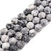 Natural Map Stone/Picasso Stone Beads Strands G-T141-03A-1