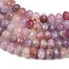 Natural Plum Blossom Tourmaline Beads Strands G-K421-A01-01-4