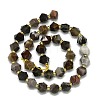 Natural Petrified Wood Beads Strands G-I376-A30-01-2