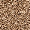 MIYUKI Delica Beads X-SEED-J020-DB1155-3