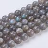 Natural Labradorite Beads Strands G-G212-8mm-23-1