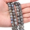 Natural Labradorite Beads Strands G-G448-8mm-04A-4