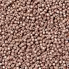 MIYUKI Delica Beads SEED-J020-DB1165-2