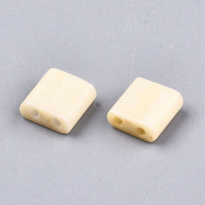 FGB 2-Hole Glass Seed Beads X-SEED-S031-L-ST1001F-1