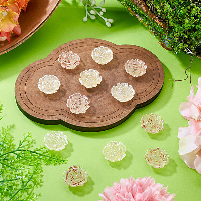 12Pcs 2 Colors Transaprent Resin Enamel Cabochons CRES-TA0001-91-1