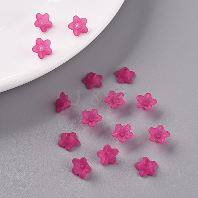Transparent Acrylic Beads PL554-04-1