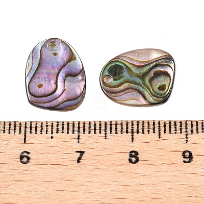 Natural Paua Shell Nuggets Charms SHEL-T020-11B-1