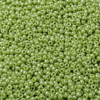 MIYUKI Round Rocailles Beads SEED-JP0009-RR0439-1