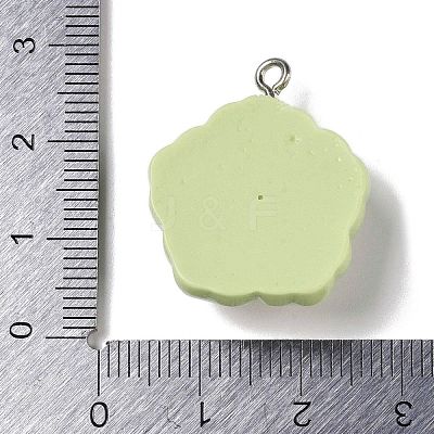 Opaque Resin Pendants RESI-S403-04D-1