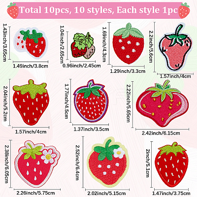 10Pcs 10 Styles Strawberry Polyester Embroidery Cloth Sew on Appliques PATC-CP0001-08B-1