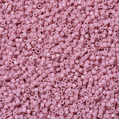 MIYUKI Delica Beads X-SEED-J020-DB1906-1