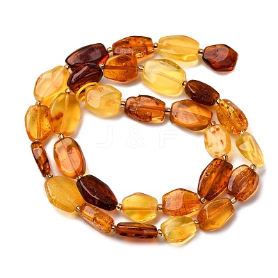 Gradient Color Natural Amber Beads Strands G-F803-E01-01-1