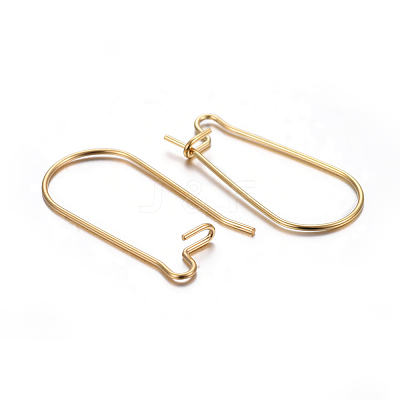 304 Stainless Steel Hoop Earring Findings STAS-P223-01G-02-1