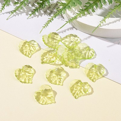 Transparent Acrylic Pendants X1-DBLA410-9-1