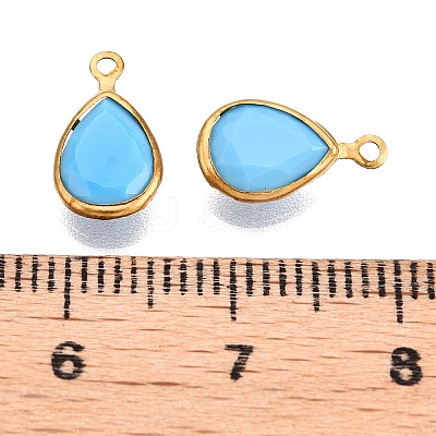 K9 Glass Charms GLAA-T023-10D-1