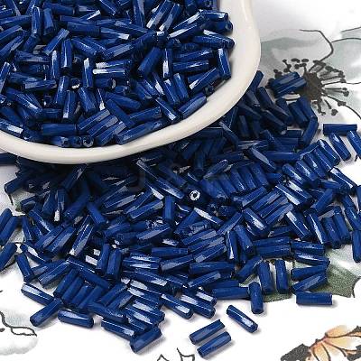 Baking Paint Glass Twist Bugle Beads SEED-C004-02N-1
