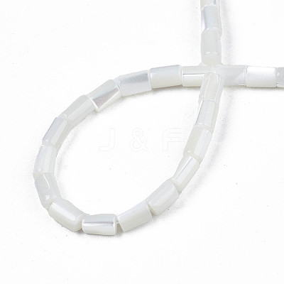 Natural Freshwater Shell Beads Strands X-SHEL-N003-26-A01-1