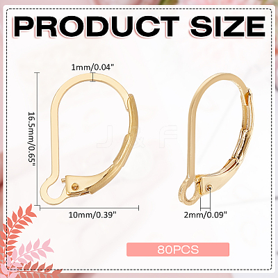 80Pcs 304 Stainless Steel Leverback Earring Findings STAS-ME0001-25G-1