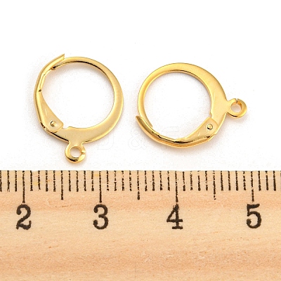 304 Stainless Steel Leverback Earring Findings X-STAS-D448-041G-1