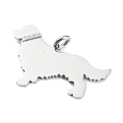 Non-Tarnish 304 Stainless Steel Pendants X-STAS-E205-10P-1
