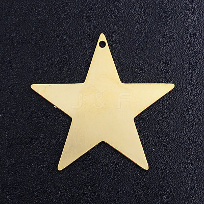 201 Stainless Steel Charms STAS-T049-T688-2-1
