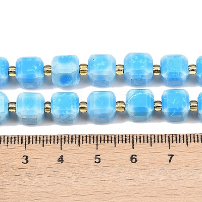 Natural Howlite Beads Strands G-C025-01B-1