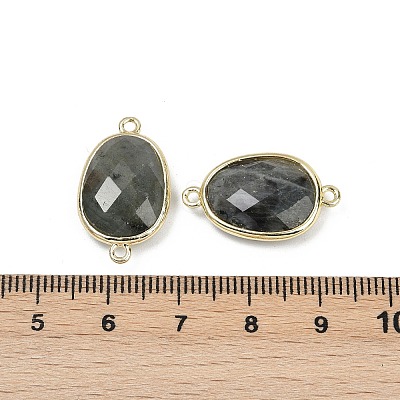 Natural Labradorite Faceted Connector Charms G-K347-11G-06-1