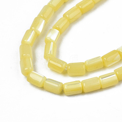 Natural Trochid Shell/Trochus Shell Beads Strands SHEL-N003-26-B10-1