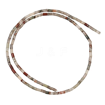 Natural African Bloodstone Beads Strands GG-CBAED3F-A10-1
