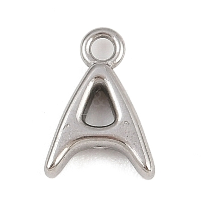 304 Stainless Steel Charms KK-I352-02P-1