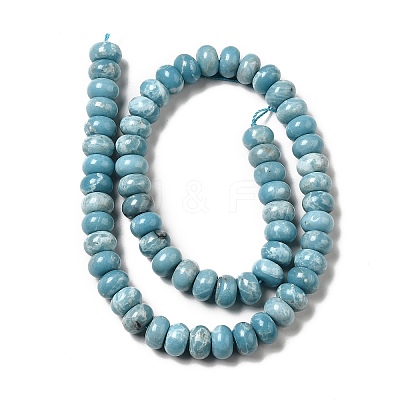 Natural Gemstone Beads Strands G-F730-04C-1